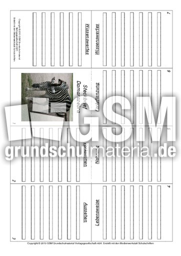Faltbuch-Damarazebra.pdf